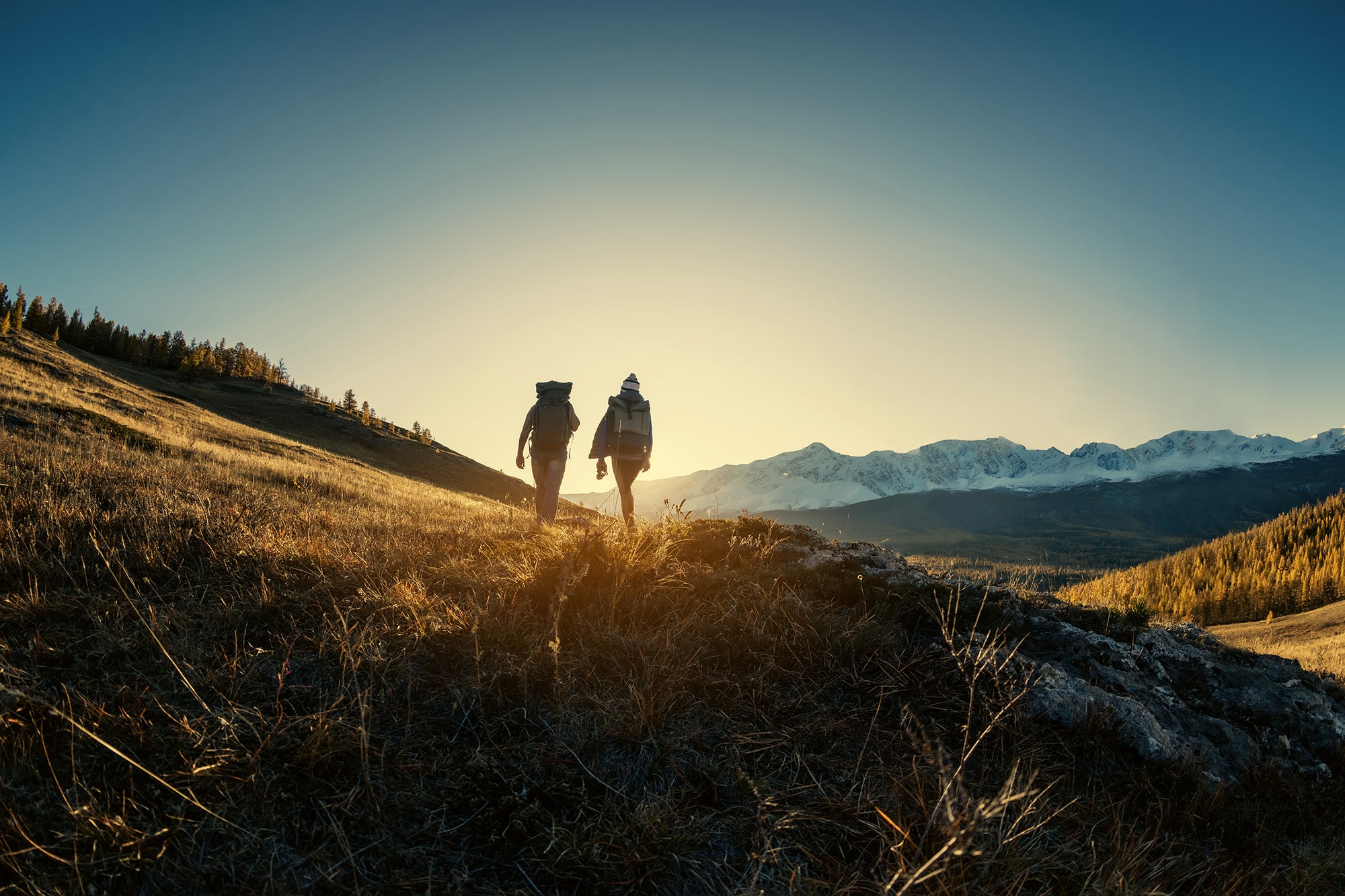 Die Kraft der Natur – Natürliche Aromapflege von OSIRIS Schweiz